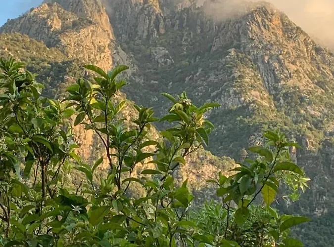 Le Porto 3* Porto (Corsica)