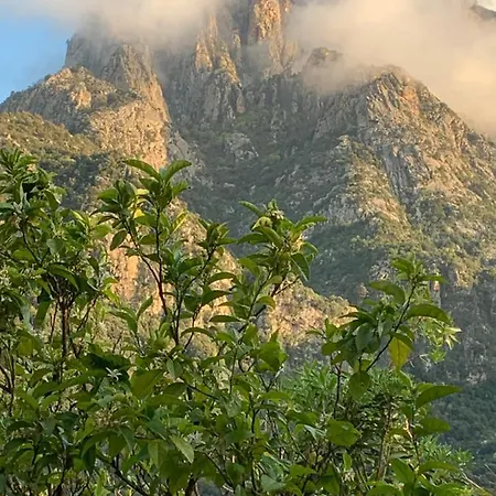 Le Porto 3* Porto (Corsica)